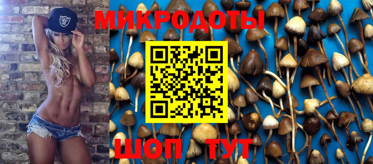 Галлюциногенные грибы Psilocybine cubensis Отрадное