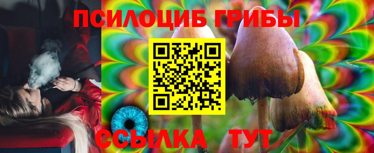 Отрадное  Псилоцибиновые грибы мухоморы  Вход с VPN 